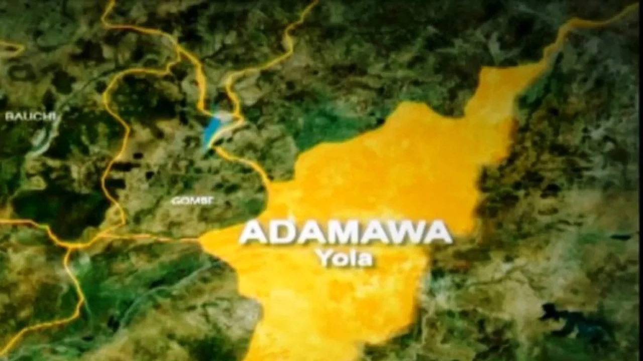 Farmer loses left hand after clash with herdsman in Adamawa