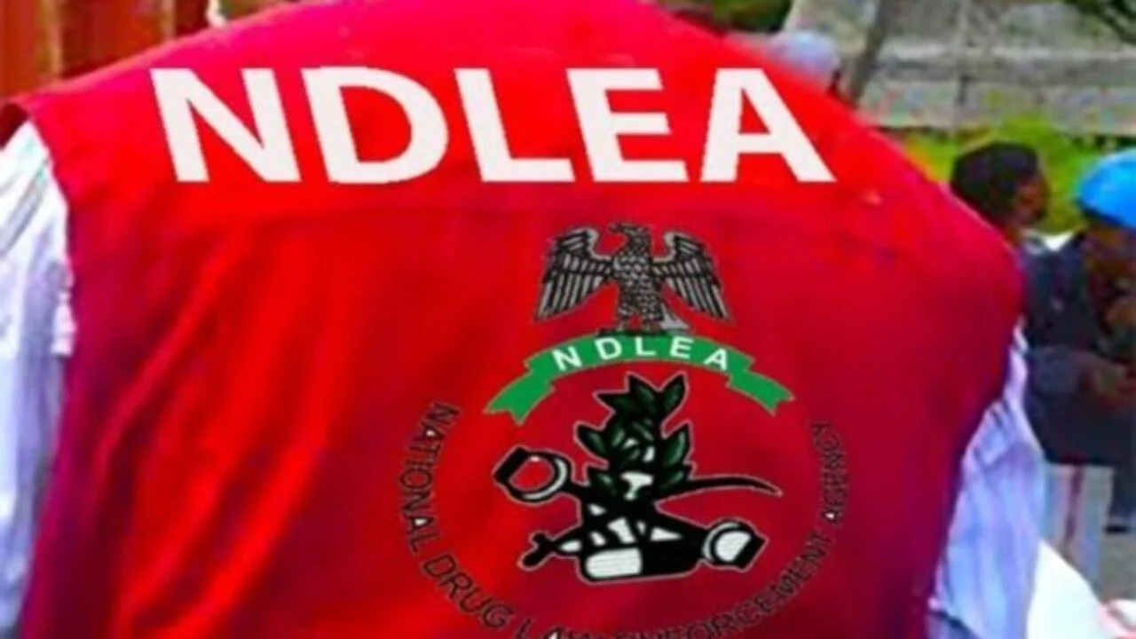 NDLEA arrests, repatriates fugitive drug kingpin over 49.7kg heroin seizure