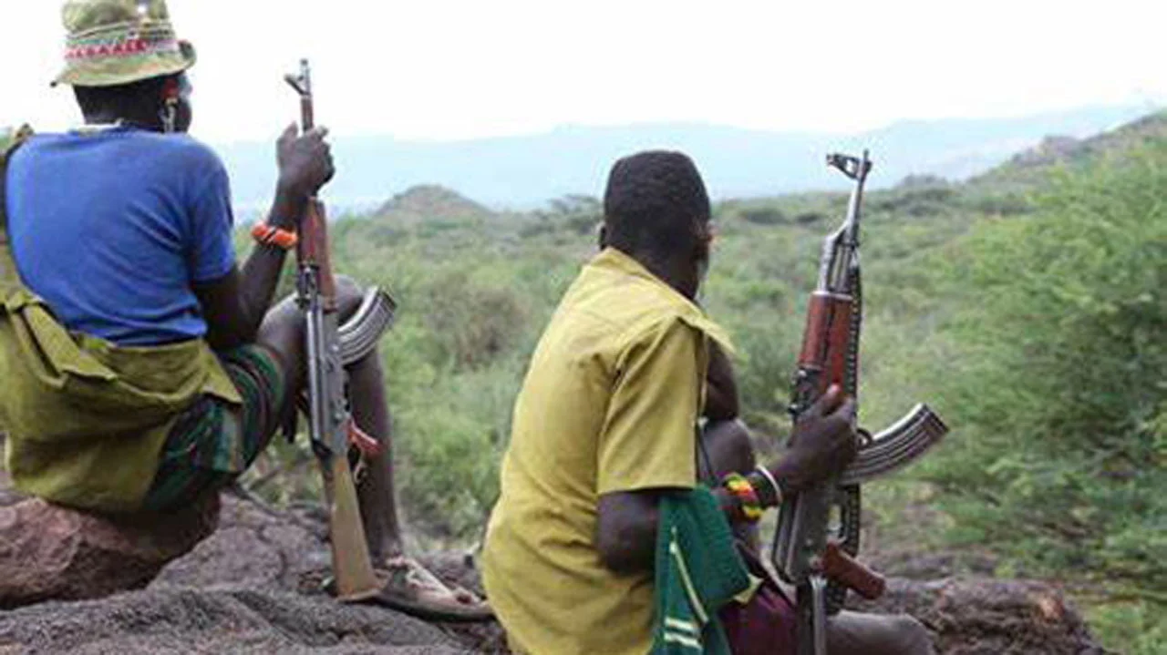 Bandits kill Niger monarch, sibling of Tinubu’s agriculture minister