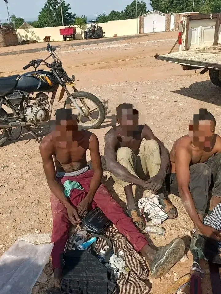 Suspected motorcycle snatching syndicate smashed in Adamawa