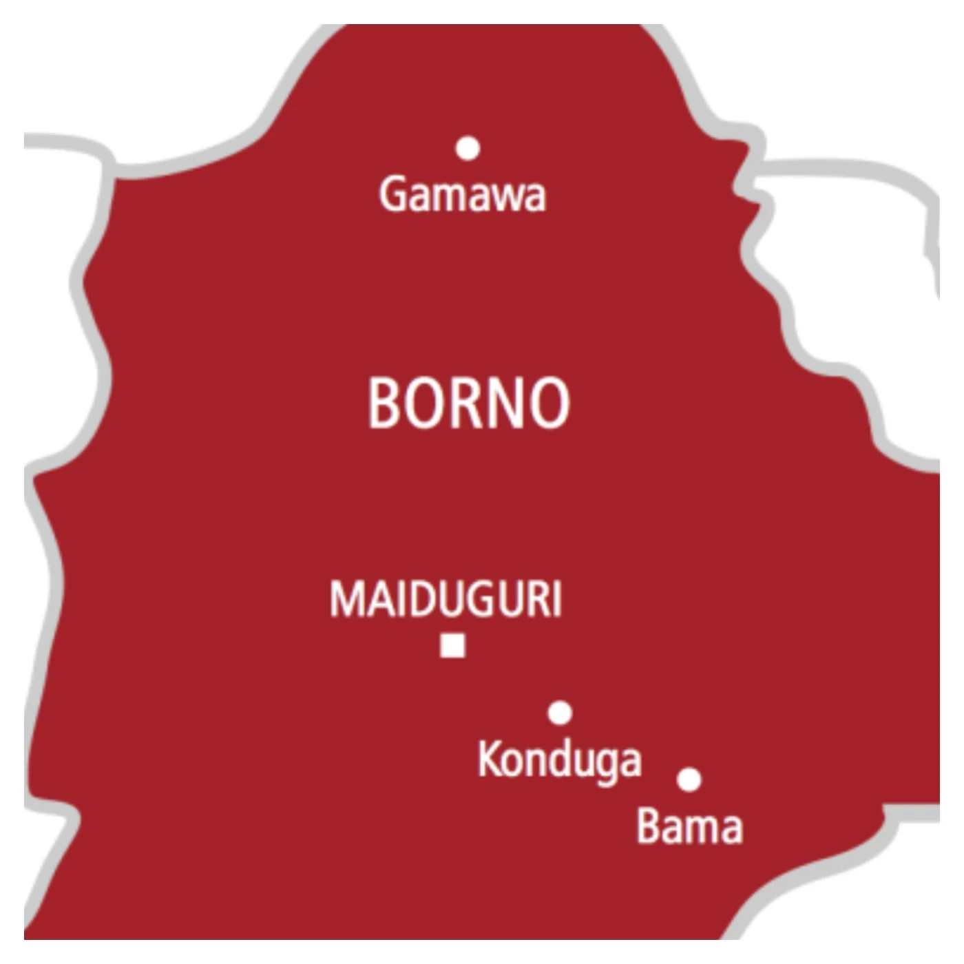Borno council chairman accused of shooting at man