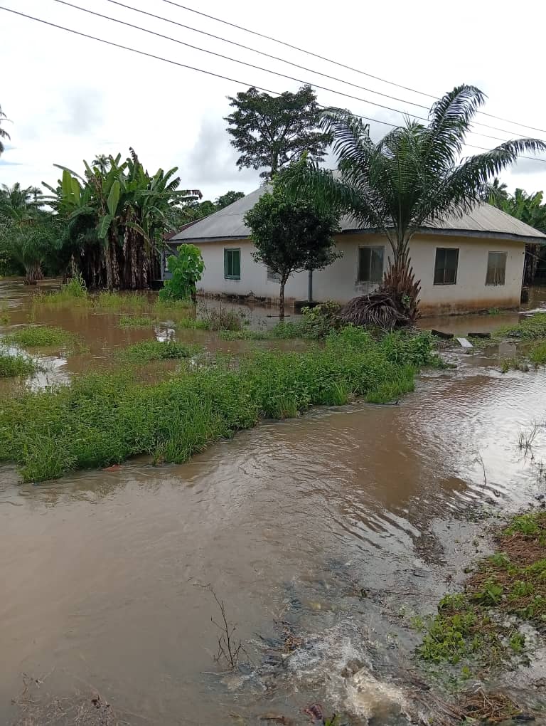 Flood renders over 300 residents homeless in Abia 