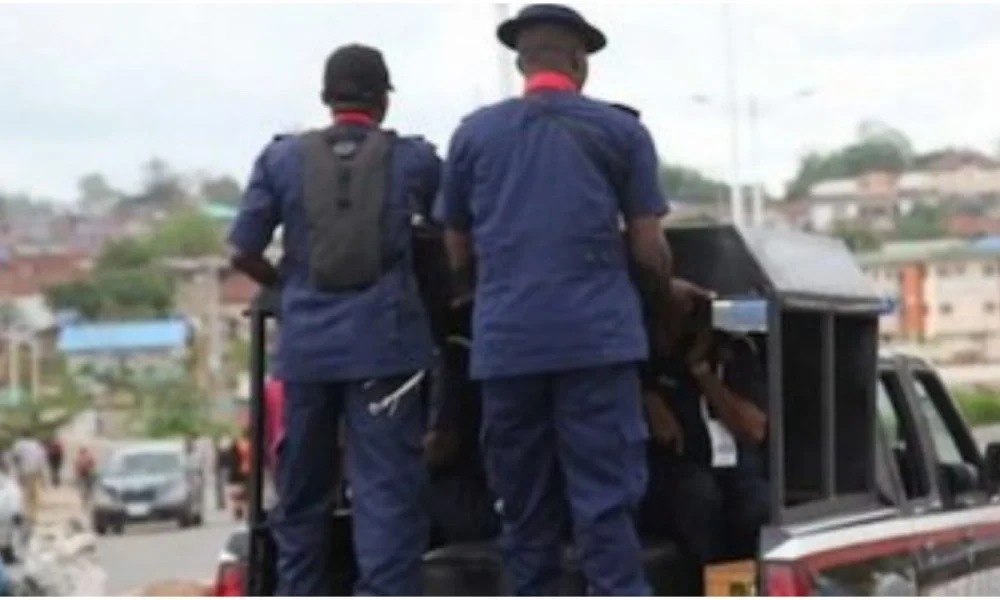 NSCDC arrests woman, four others over alleged sale of dead cattle meat in Yobe
