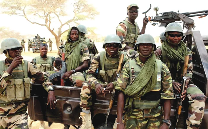 Troops recover 11 rustled cattle from suspected terrorists in Kaduna