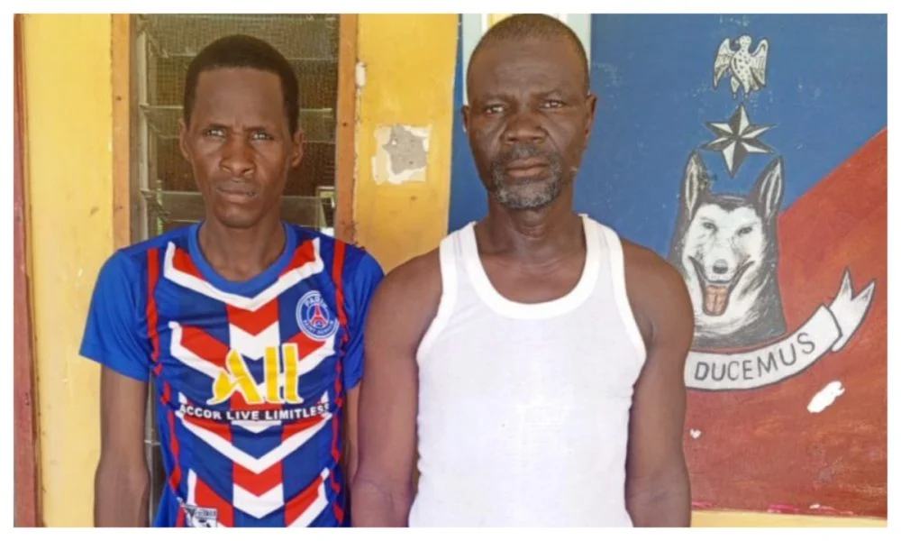 Two brothers suspected of terrorism surrender to troops in Borno