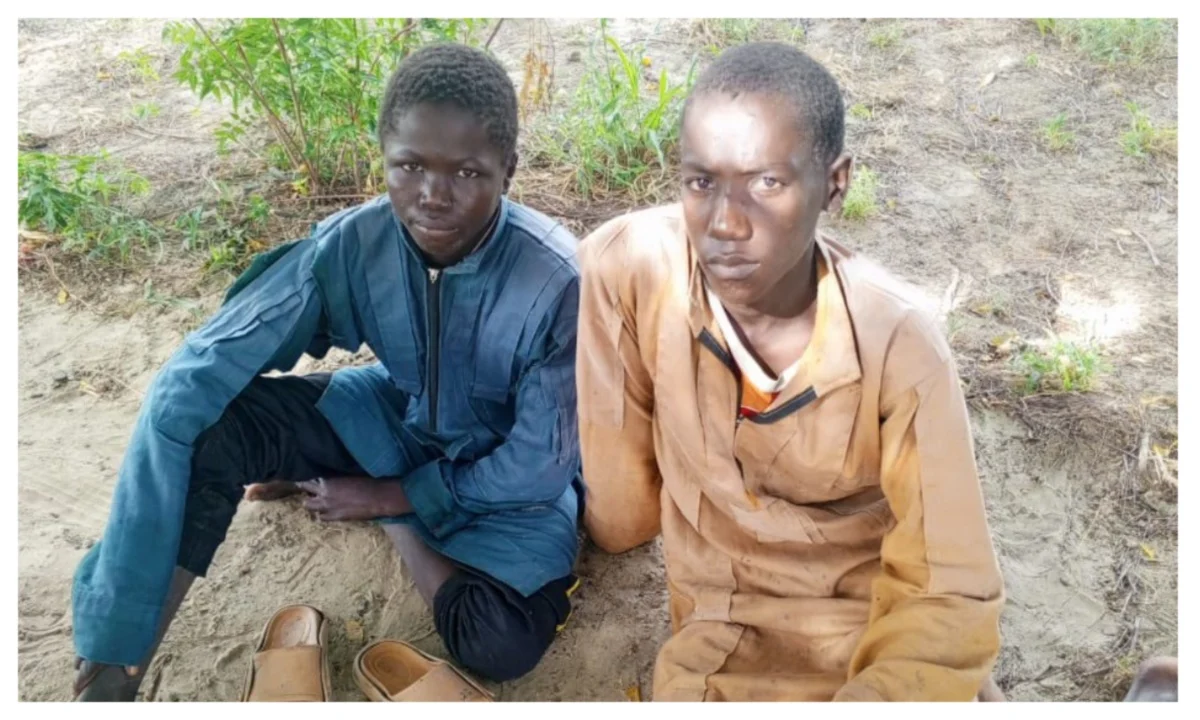 Two teenage terrorists escape camp, surrender to troops in Borno