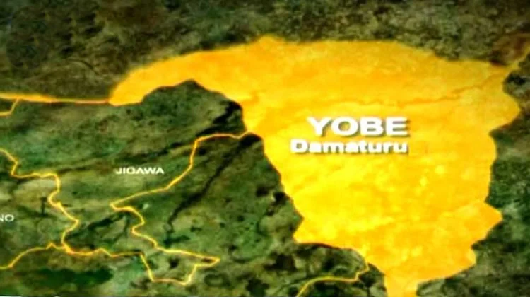 Four Yobe indigenes die in Algeria while seeking greener pastures