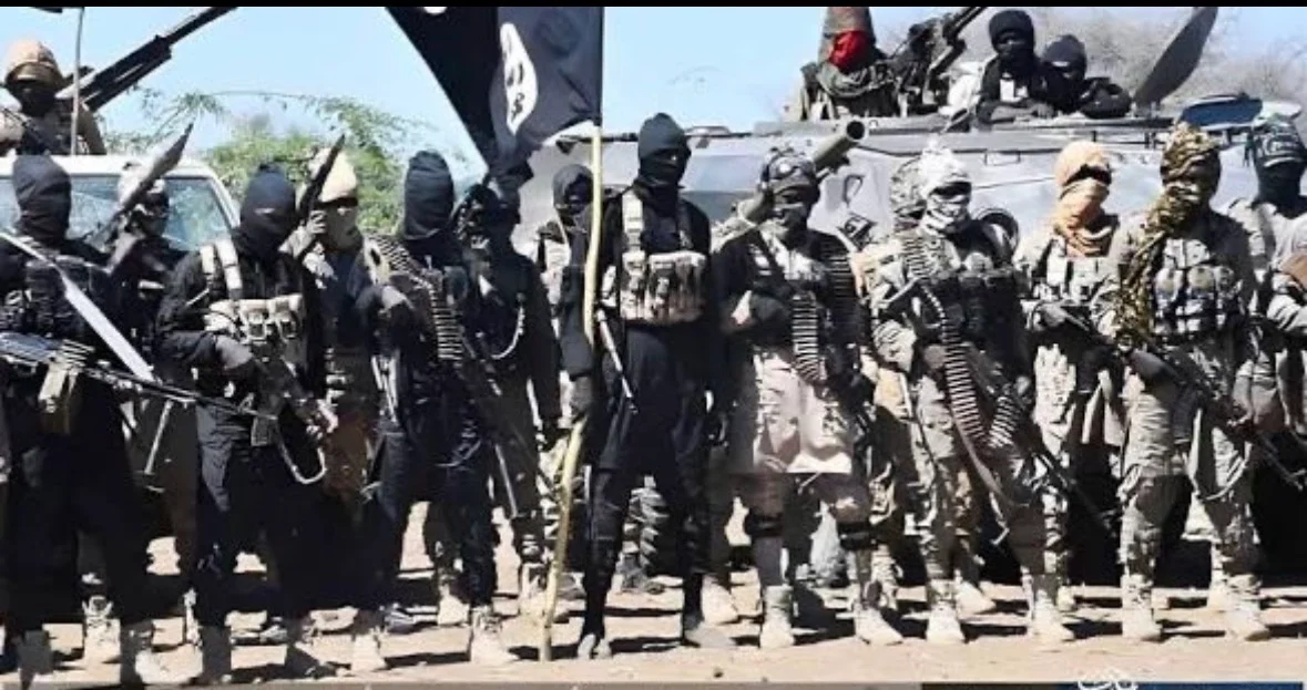 17 ISWAP-linked persons surrender to troops amid factional clashes, hardship in Borno